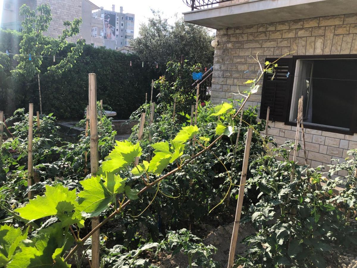 Garden Apartman Split Bagian luar foto