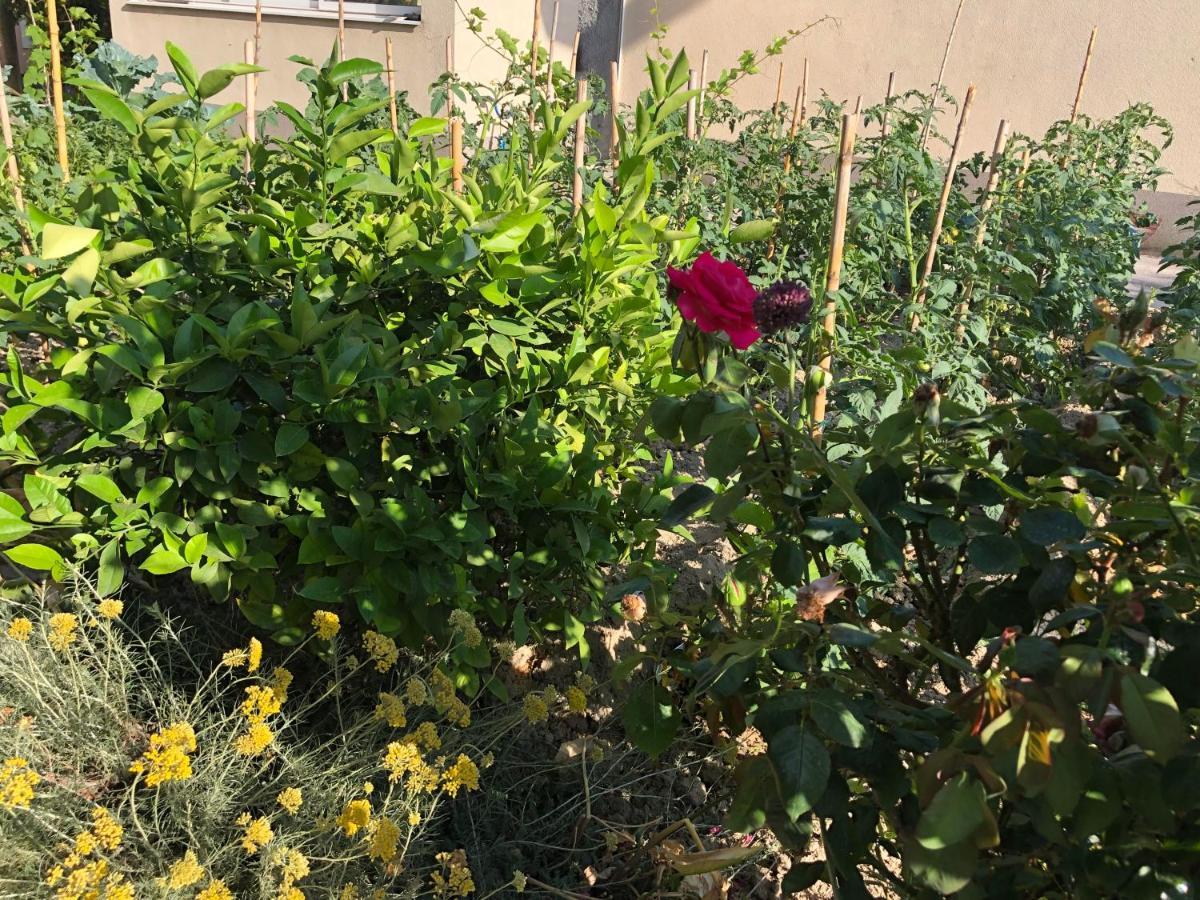 Garden Apartman Split Bagian luar foto