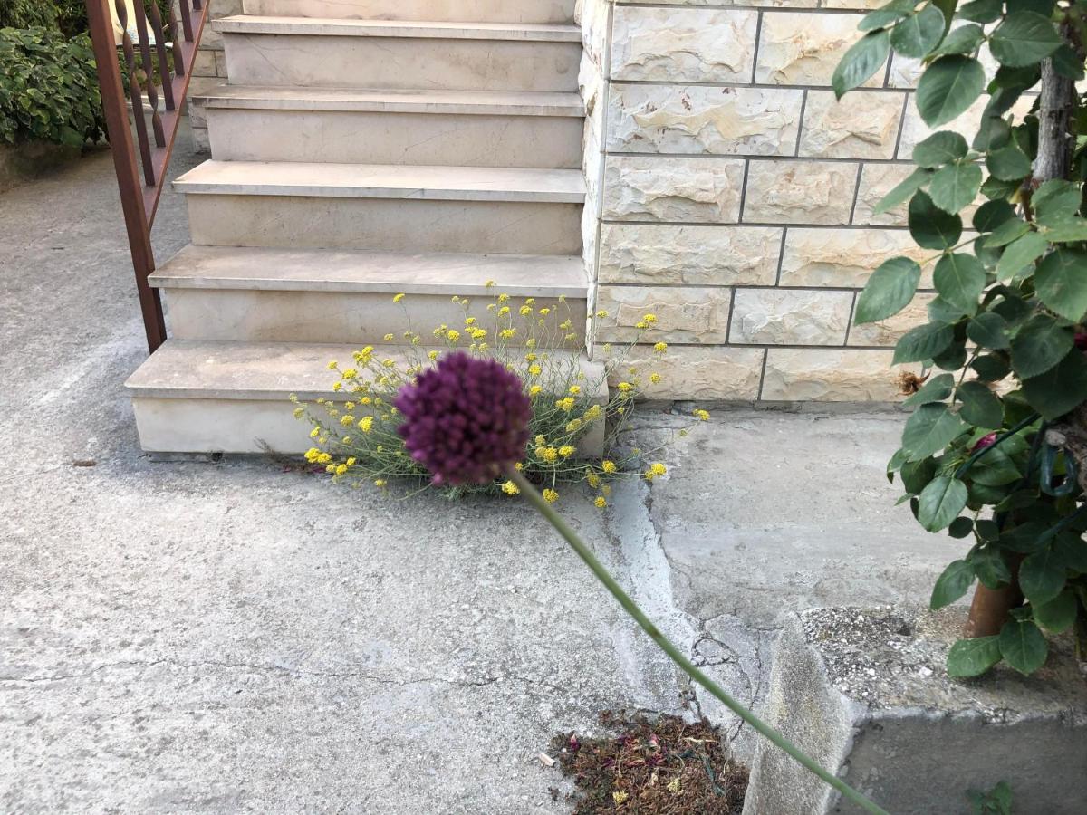 Garden Apartman Split Bagian luar foto